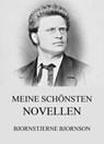 Meine schönsten Novellen - Bjornstjerne Bjornson - 9783849604981