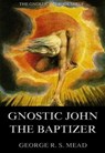 Gnostic John the Baptizer: Selections from the Mandaean John-Book - G. R. S. Mead - 9783849621773