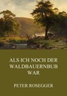 Als ich noch der Waldbauernbub war - Peter Rosegger - 9783849653132