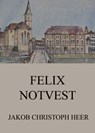 Felix Notvest - Jakob Christoph Heer - 9783849655853