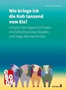 Wie bringe ich die Kuh tanzend vom Eis? - Astrid Keweloh - 9783849782498