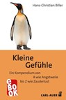 Kleine Gefühle - Hans-Christian Biller - 9783849784850