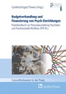 Budgetverhandlung und Finanzierung von Psych-Einrichtungen - Stefan Günther ; Ramon Krüger ; Stefan Thewes - 9783862169016