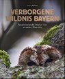 Verborgene Wildnis Bayern - Ferry Böhme - 9783862467372