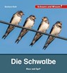 Die Schwalbe - Barbara Rath - 9783863164294