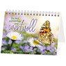 Du bist wunderbar und wertvoll - Ruth Heil - 9783863387266
