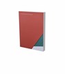 Flurin Bisig: Unformed Desire - Stephan Kunz - 9783864423888