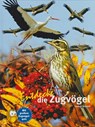 Entdecke die Zugvögel - Thomas Schmidt - 9783866592148