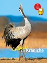 Entdecke die Kraniche - Helga Müller-Wensky - 9783866592933