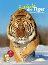 Entdecke die Tiger - Thomas Wilms ; Agnes Wilms - 9783866593046