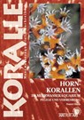 Hornkorallen im Meerwasseraquarium - Daniel Knop - 9783866593152