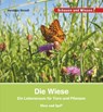 Die Wiese - Veronika Straaß - 9783867607926