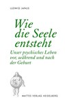 Wie die Seele entsteht - Ludwig Janus - 9783868091984