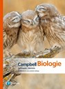 Campbell Biologie Gymnasiale Oberstufe - Lisa A. Urry ; Michael L. Cain ; Steven A. Wasserman ; Peter V. Minorsky - 9783868949131