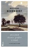 Bilder deiner großen Liebe - Wolfgang Herrndorf - 9783871347917