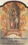Neu-entsprossene Gnadenblum auf der Wies -  - 9783874374262
