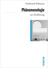 Phänomenologie zur Einführung - Ferdinand Fellmann - 9783885067443