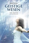 Geistige Wesen - Stefan Brönnle - 9783890601861