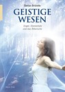 Geistige Wesen - Stefan Brönnle - 9783890606019