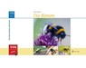 Die Bienen - Teresa Zabori - 9783894328719