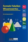 Formeln, Tabellen, Wissenswertes für die Sekundarstufe I. RSR - Uwe Bahro ; Frank-Michael Becker ; Lutz Engelmann ; Christine Ernst - 9783895172571
