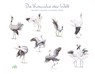 Die Kraniche der Welt - Christopher Schmidt - 9783895664106