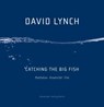 Catching the Big Fish - David Lynch - 9783895813801