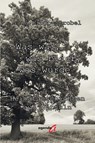 Was war, was blieb, was wurde - Tina Kropp-Strobel - 9783896889744