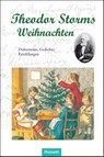 Theodor Storms Weihnachten - Gerd Eversberg - 9783898768733