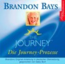 The Journey - Die Journey-Prozesse. 2 CDs -  - 9783899035803