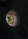 Tony Oursler - Thomas Hausle - 9783903572416