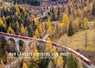 Der längste Reisezug der Welt - Reto Wilhelm - 9783907095737