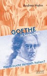 Goethe in Schwaben - Andrea Hahn - 9783910228207
