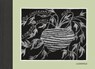 Die unbekannte Rübe - Edward Gorey - 9783910266018