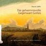 Die geheimnisvolle Gegenwart Gottes - David Jaffin - 9783910955080