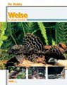 Ihr Hobby Welse - Jürgen Schmidt - 9783931792756