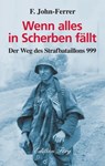 Wenn alles in Scherben fällt - F. John-Ferrer - 9783933708656