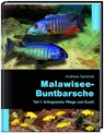 Malawiseebuntbarsche, Teil 1: Erfolgreiche Pflege und Zucht - Andreas Spreinat - 9783935175104