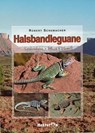 Halsbandleguane - Robert Schumacher - 9783936180008