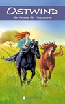 OSTWIND - Ein Freund für Feuersturm - Schwarz Rosa - 9783940919526