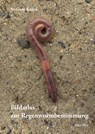 Bildatlas der Regenwurmbestimmung - Stefanie Krück - 9783942062671