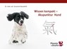 Wissen kompakt - Akupunktur Hund - Susanne Hauswirth - 9783943116021