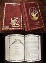 Im Schatten der Hexen 4 Eibenspiegel - Kathrin R. Hotowetz - 9783943455823