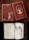 Im Schatten der Hexen 3 Hexenjagd - Kathrin R. Hotowetz - 9783943455830