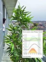 Lacaton & Vassal: It's Nice Today - Ilka Ruby ; Andreas Ruby - 9783944074375