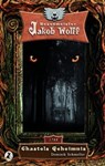 Jakob Wolff - Chastels Geheimnis - Dominik Schmeller - 9783945230138