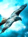 Fantasy Notizbuch: Adler im Sturm - weiße Seiten mit Eckmotiv - Samuriel Sternenfeuer - 9783945376584
