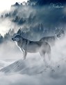 Fantasy Notizbuch: Wölfe im Nebel - weiße Seiten mit Eckmotiv - Samuriel Sternenfeuer - 9783945376607