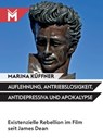 Auflehnung, Antriebslosigkeit, Antidepressiva und Apokalypse - Marina Küffner - 9783945378267