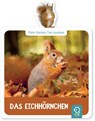 Mein kleines Tier-Lexikon - Das Eichhörnchen - Hannah Kastenhuber - 9783946360063